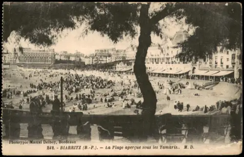 CPA Biarritz Miarritze Strand unter Tamarisken 1910