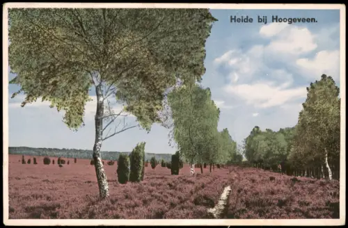 Postkaart Hoogeveen Heide bei Hoogeveen 1908
