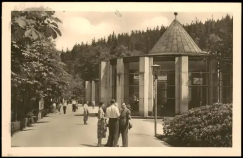 Ansichtskarte Bad Elster Moritzquelle mit Promenade 1954