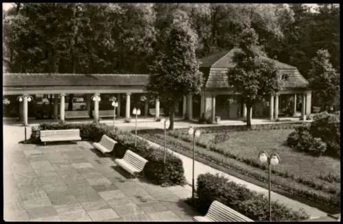 Ansichtskarte Bad Brambach Radiumquelle mit Wandelhalle 1962