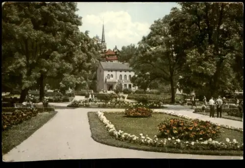 Ansichtskarte Bad Elster Rosengarten 1966