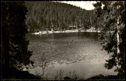Ansichtskarte Bad Rippoldsau-Bad Rippoldsau-Schapbach Glaswaldsee 1955