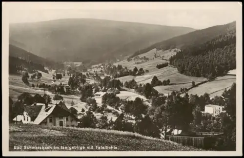Ansichtskarte Bad Schwarzbach Kr. Gera im Isergebirge mit Tafelfichte 1925