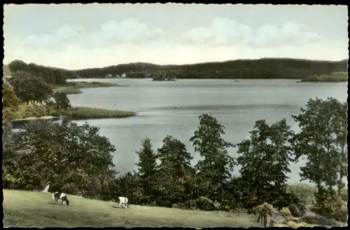 Bad Malente-Gremsmühlen-Malente Dieksee bei Malente-Gremsmühlen 1958