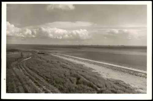 Ansichtskarte Wyk (Föhr) Strand mit Halligblick 1957