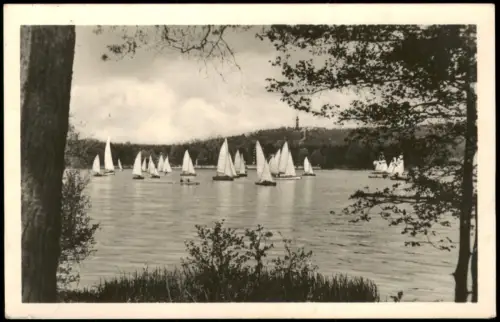 Ansichtskarte Köpenick-Berlin Segelregatta auf dem See mit Müggelturm 1955