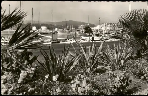 CPA Le Lavandou Panoramablick auf den Hafen von Le Lavandou 1955