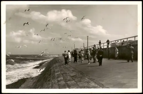 Ansichtskarte Norderney Möwenspiel am Strande 1960