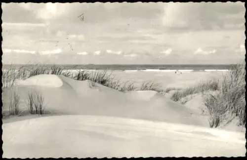 Ansichtskarte Norderney Dünenlandschaft an der Nordsee 1963