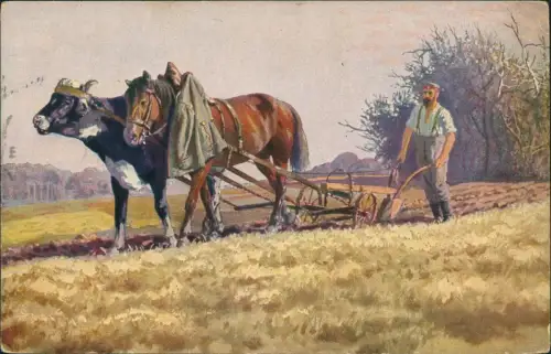 Ansichtskarte  Deutsche Kriegsernte Soldat im Feindesland 1917  Feldpoststempel