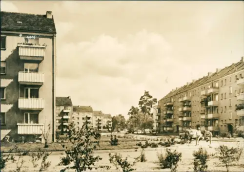 Ansichtskarte Eberswalde Neubauten am Tierpark 1967