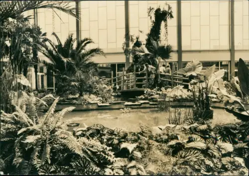 Foto Ansichtskarte Mitte Berlin Tierpark - Tropenhallle, Alfred Brehm Haus 1964