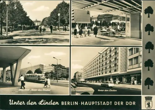 Ansichtskarte Mitte-Berlin Unter den Linden 4 Bild Interhotel Geschäfte 1964