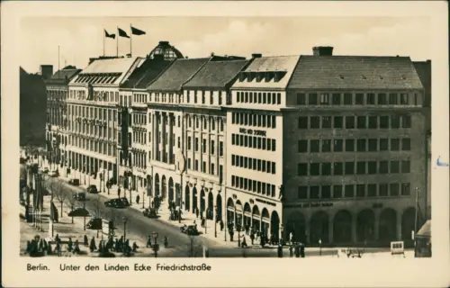 Ansichtskarte Mitte-Berlin Unter den Linden - Fotokarte 1925