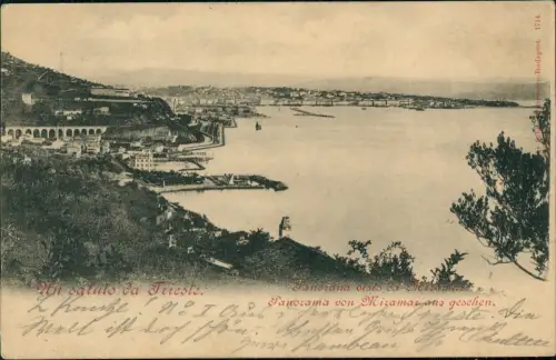 Cartolina Triest Trieste Panorama von Mizamazans gesehen 1903