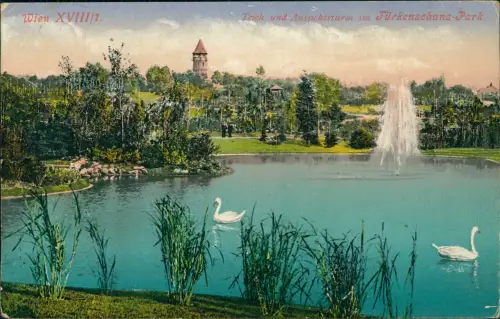 Ansichtskarte Wien Teich und Aussichtsturm im Türkenschanz-Park 1918