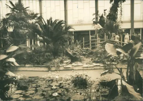 Mitte Berlin Tierpark Ausschnitt Tropenhalle des Alfred-Brehm-Hauses 1966