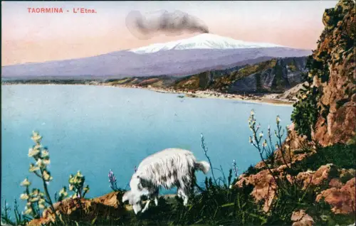 Cartolina Taormina Vulkan L'Etna. Ziege 1913