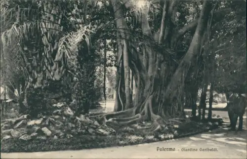 Cartolina Palermo Palermo (Palermu) Giardino Garibaldi. 1914