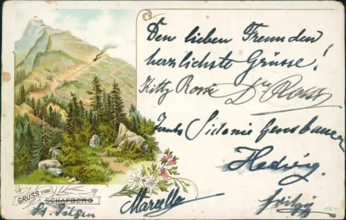 Ansichtskarte Litho AK Leoben Edelweiss und Schafberg 1896