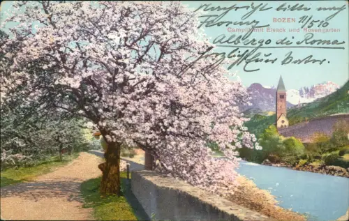 Cartolina Bozen Bolzano Campil mit Eisack und Rosengarten 1910