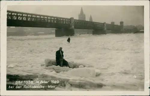 Foto Wien Eisstoss Februar bei der Reichsbrücke 1929 Privatfoto