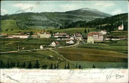 Ansichtskarte Mönichkirchen Stadtpartie 1913