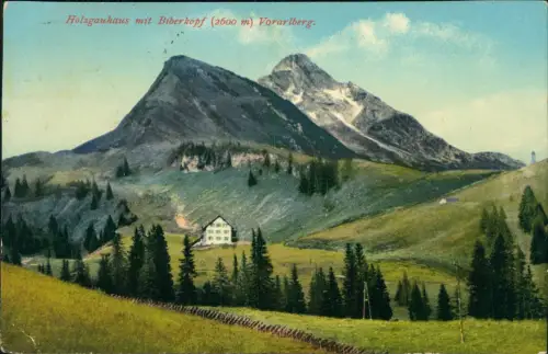 Ansichtskarte Warth Vorarlberg Holzgauhaus mit Biberkopf 1919