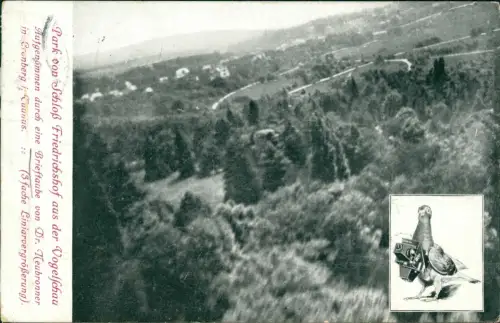 Kronberg Taunus Schloss Friedrichshof Luftbil  Photo Ausstellung Dresden 1909