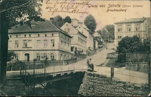 Ansichtskarte Sebnitz Partie Brauhausberg 1908