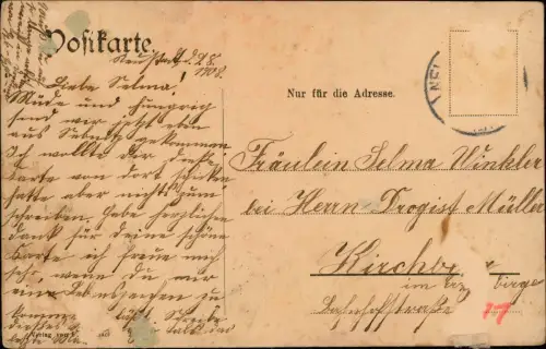 Ansichtskarte Sebnitz Partie Brauhausberg 1908