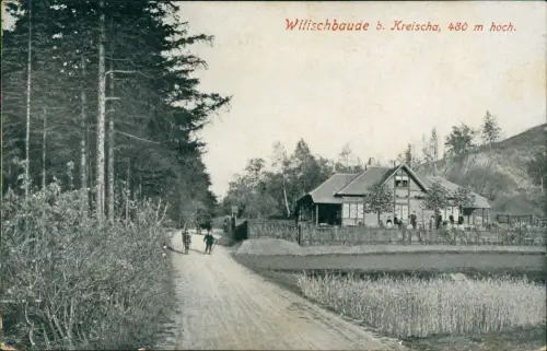 Ansichtskarte Kreischa Wilischbaude Straßenpartie 1925
