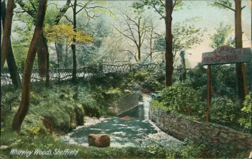 Postcard Sheffield Whiteley Woods 1908