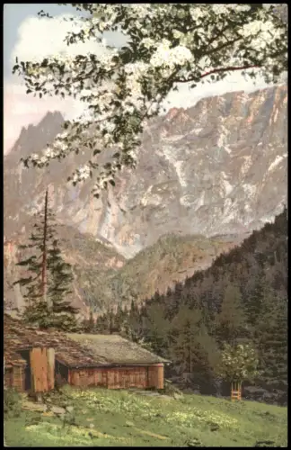 Ansichtskarte  Alpenlandschaft mit Almhütte und blühendem Baum 1915