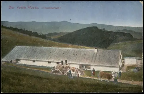 Hartmannsweiler Hartmannswiller Bauerngehöft - Der kahle Wasen 1915