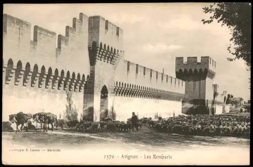 CPA Avignon Die Remparts von Avignon mit Schafherde 1910