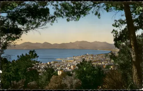 CPA Cannes Blick auf die Stadt durch Pinien 1956