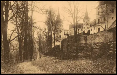 Ansichtskarte Neuhausen (Erzgebirge) Schloss Purschenstein Waldweg Zaun 1915