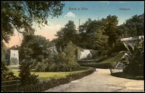 Ansichtskarte Riesa Stadtpark, Treppe 1915