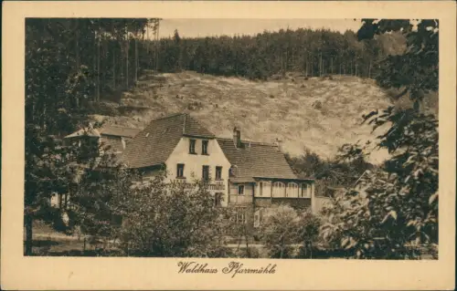 Ansichtskarte Eisenberg (Thüringen) Waldhaus Pfarrmühle 1918