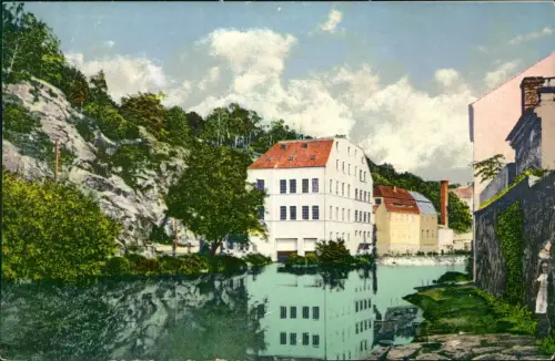 Ansichtskarte Bautzen Budyšin Partie an der Lohmühle 1917