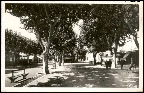 Tarascon (Bouches-du-Rhône) Cours Aristide Briand mit Platanenallee 1950