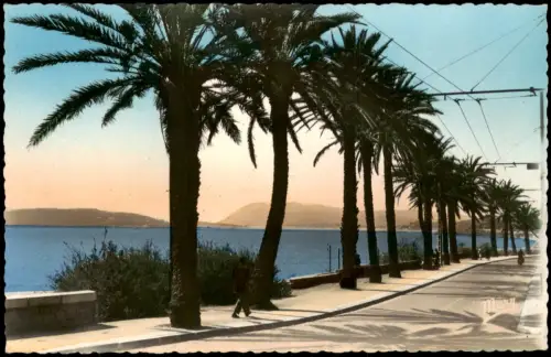 CPA Toulon Boulevard du Littoral mit Palmenpromenade 1950