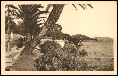 COTE D' AZUR (Region & Landschaften) Palmenpromenade am Meer 1915