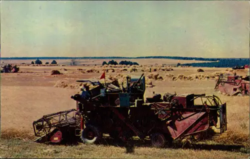 .Russland ПО ТАТАРИИХ лебная страдаФото Feldarbeit Rußland Россия 1973