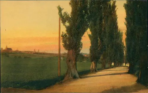 Bautzen Budyšin Fernblick auf die Stadt Allee Stimmungsbild 1912