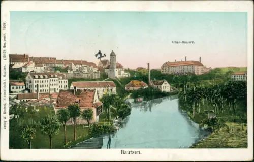 Ansichtskarte Bautzen Budyšin Spreepartie u. Actienbrauerei 1908