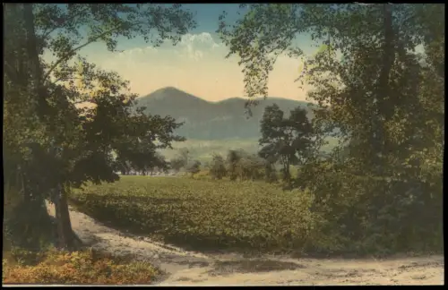 Postcard Lobositz Lovosice Blick auf Lobosch und Kibitschken. 1912