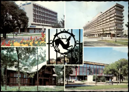 Postcard Szekszárd Mehrbildansicht Szekszárd und Gemenc-Wald 1974