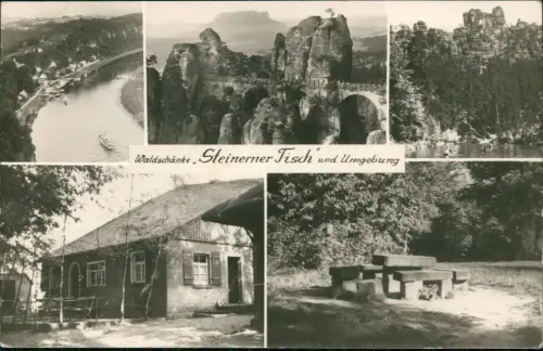 Ansichtskarte Rathen MB Bastei Waldschänke Steinerner Tisch Umgebung 1968
